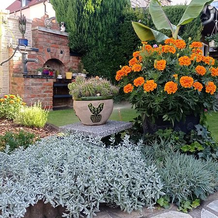 Usis_Ferienwohnung Im Harz Quedlinburg Ngoại thất bức ảnh
