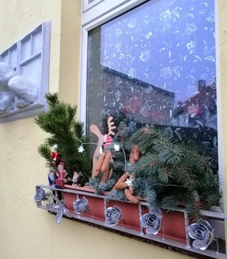 Usis_Ferienwohnung Im Harz Quedlinburg Ngoại thất bức ảnh